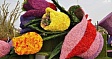Яркий цветочный фестиваль «Дагестан в миниатюре» пройдет 12-13 мая