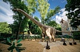 Парк с динозаврами появится в Уфе!