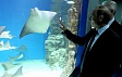 Открытие комплекса аквариумов на ВДНХ